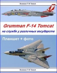 Самолет Grumman F-14 Tomcat на службе у различных государств