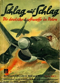 Schlag auf Schlag - Die Deutsche Luftwaffe In Polen
